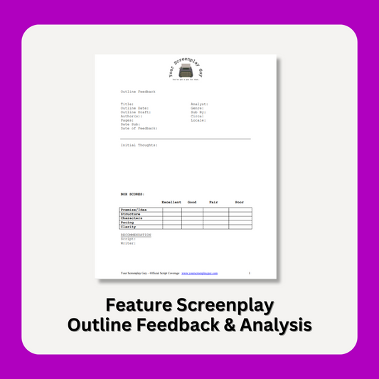 Feature Script Outline Feedback and Analysis